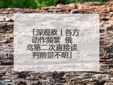 深观察丨各方动作频繁  俄乌第二次直接谈判前景不明